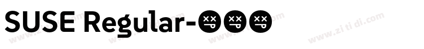 SUSE Regular字体转换